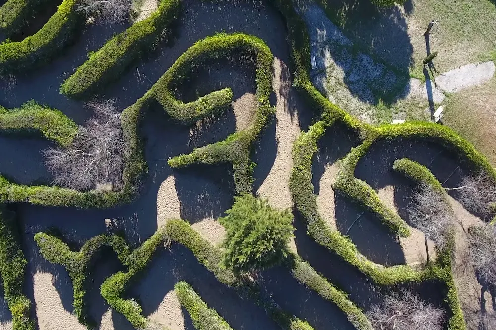 Vista aérea de los pasillos curvos de arena del laberinto, separados por cercos verdes
