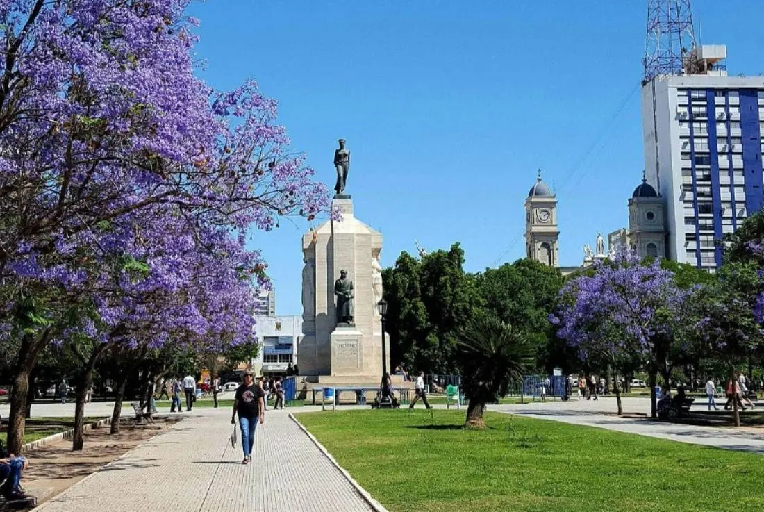 Plaza Rivadavia con jacarandás en flor, el monumento central y las torres de la Catedral detrás de los árboles