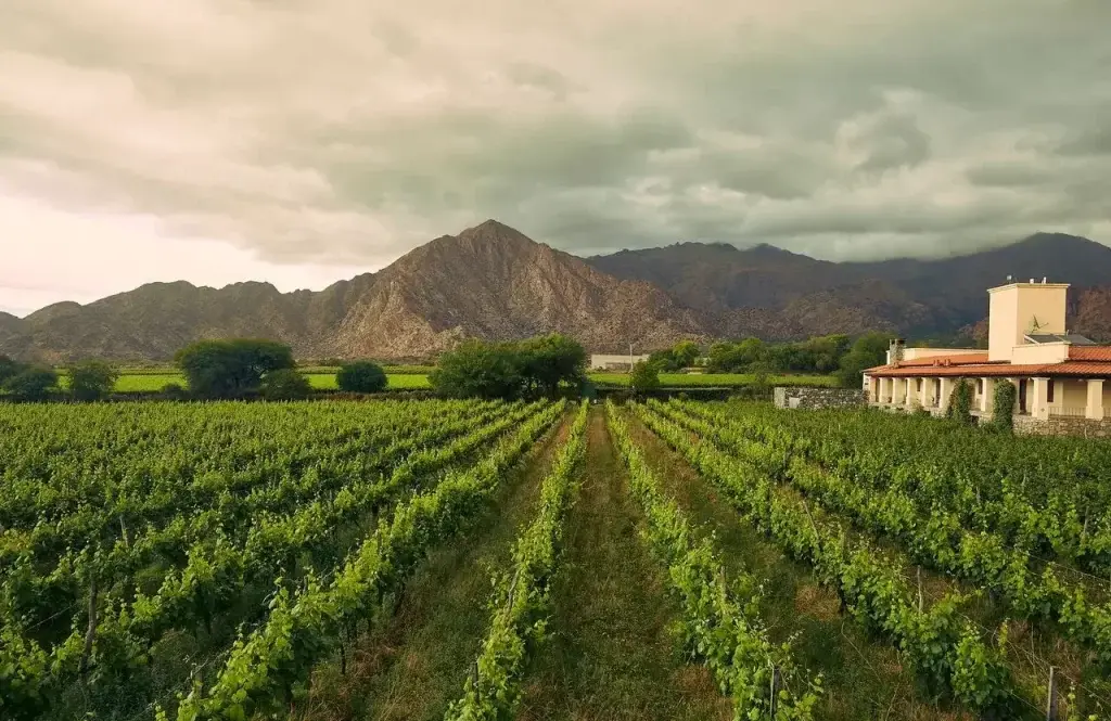 Hileras de viñedos verdes frente a una casona de bodega, con cerros y nubes de tormenta al fondo
