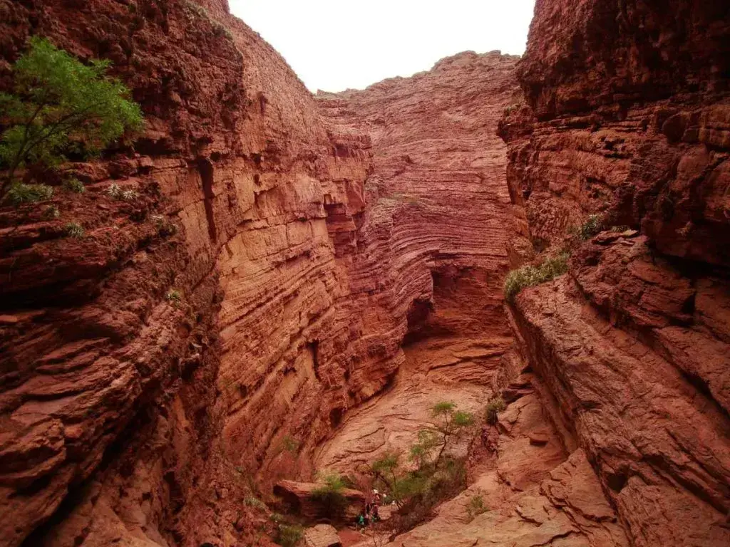 Paredes de roca roja en capas que forman un cañón profundo, con vegetación en el fondo