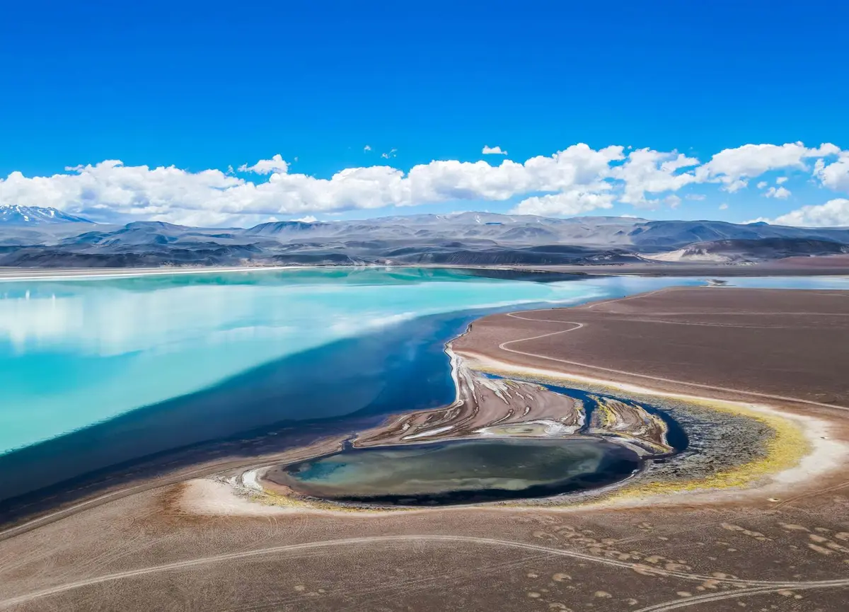 Laguna altoandina de agua turquesa junto a una playa de sal y cerros grises bajo un cielo azul