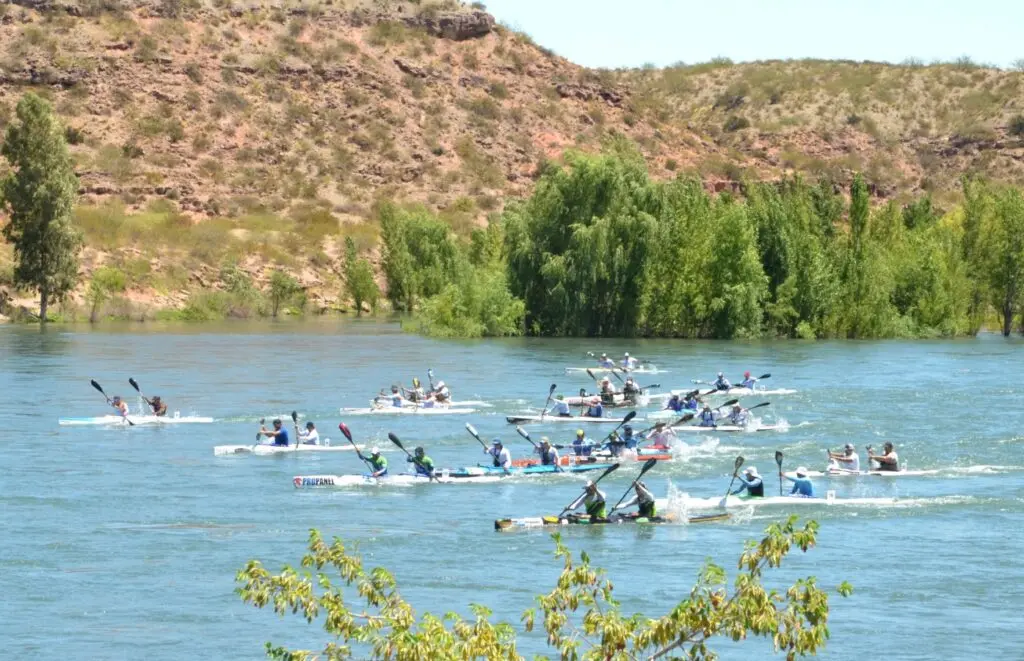 Decenas de palistas en kayaks blancos compiten en un río ancho, con sauces verdes y bardas rojizas de fondo