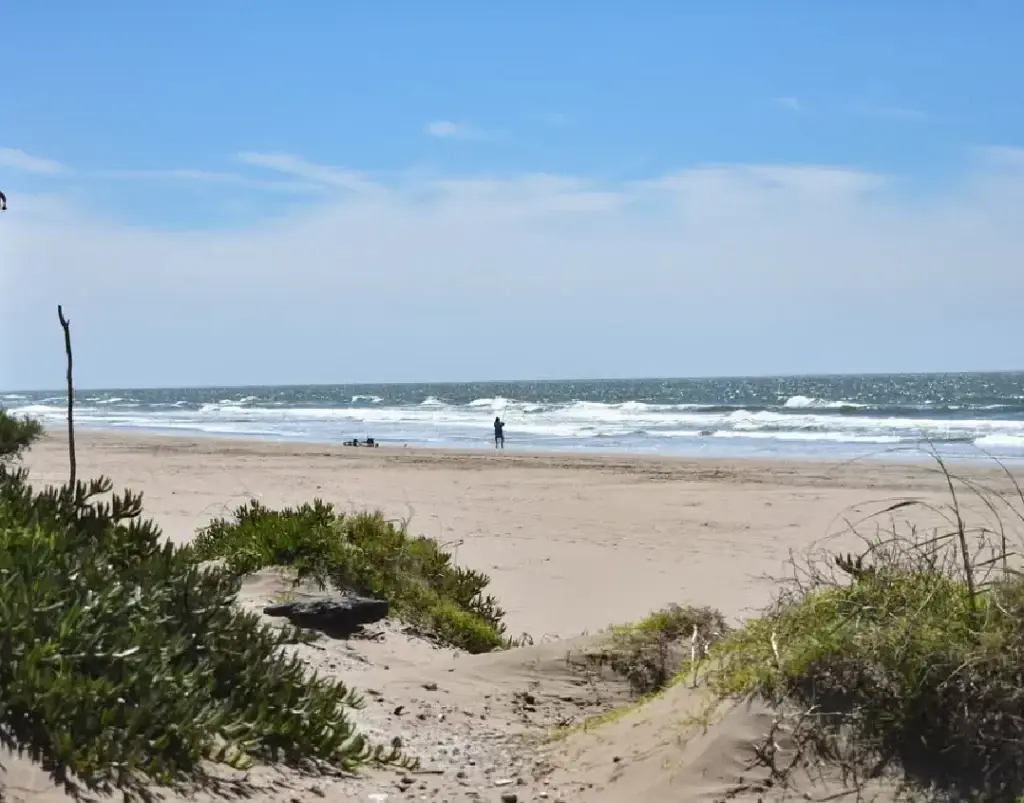 Médanos con vegetación baja en primer plano y, al fondo, la playa ancha con un pescador frente al mar
