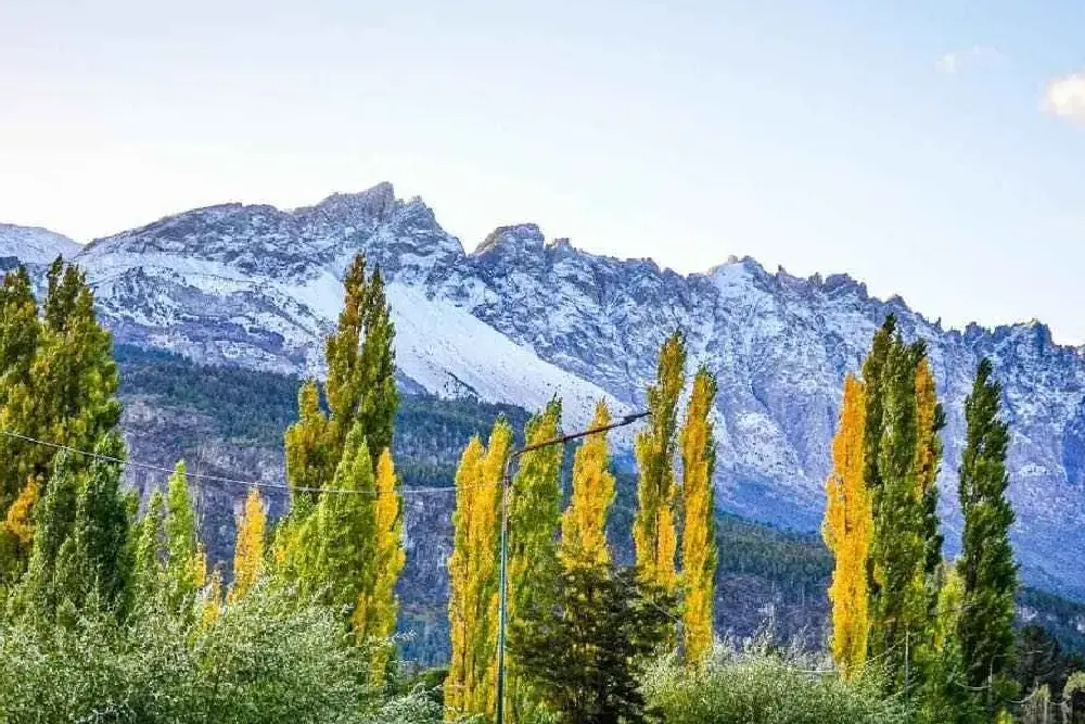 Álamos amarillos de otoño en primer plano y, detrás, las cumbres rocosas del Cerro Piltriquitrón cubiertas de nieve