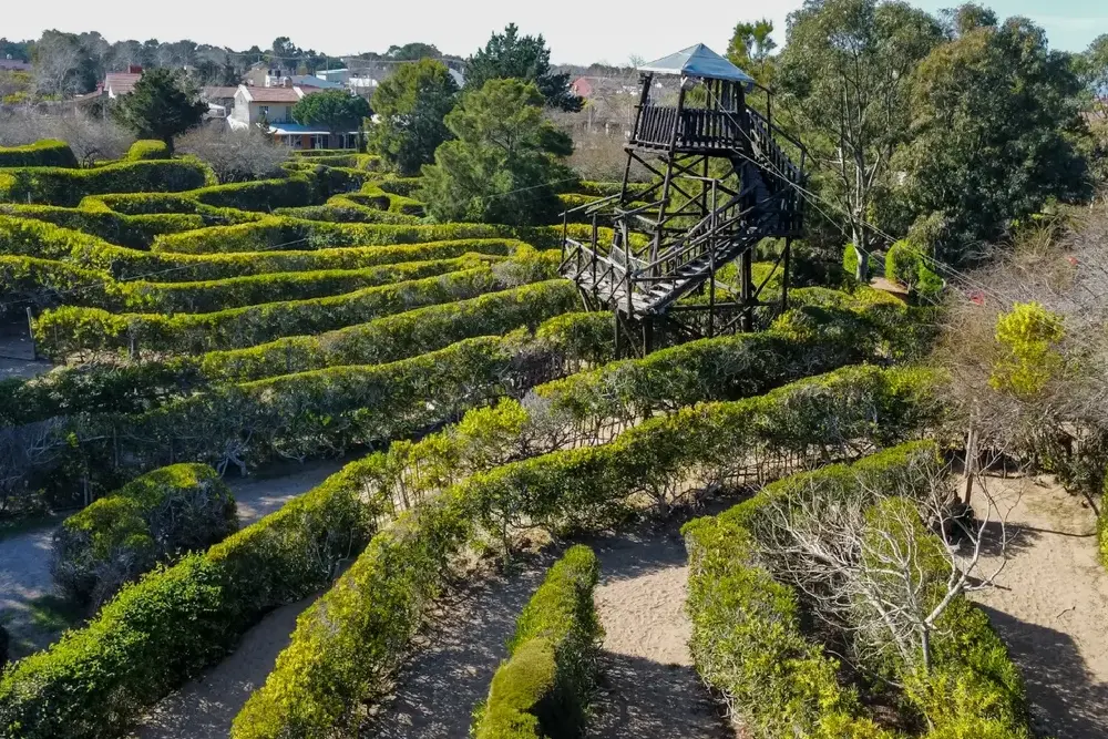 Pasillos de cercos verdes de un laberinto con una torre mirador de madera, y casas y árboles al fondo