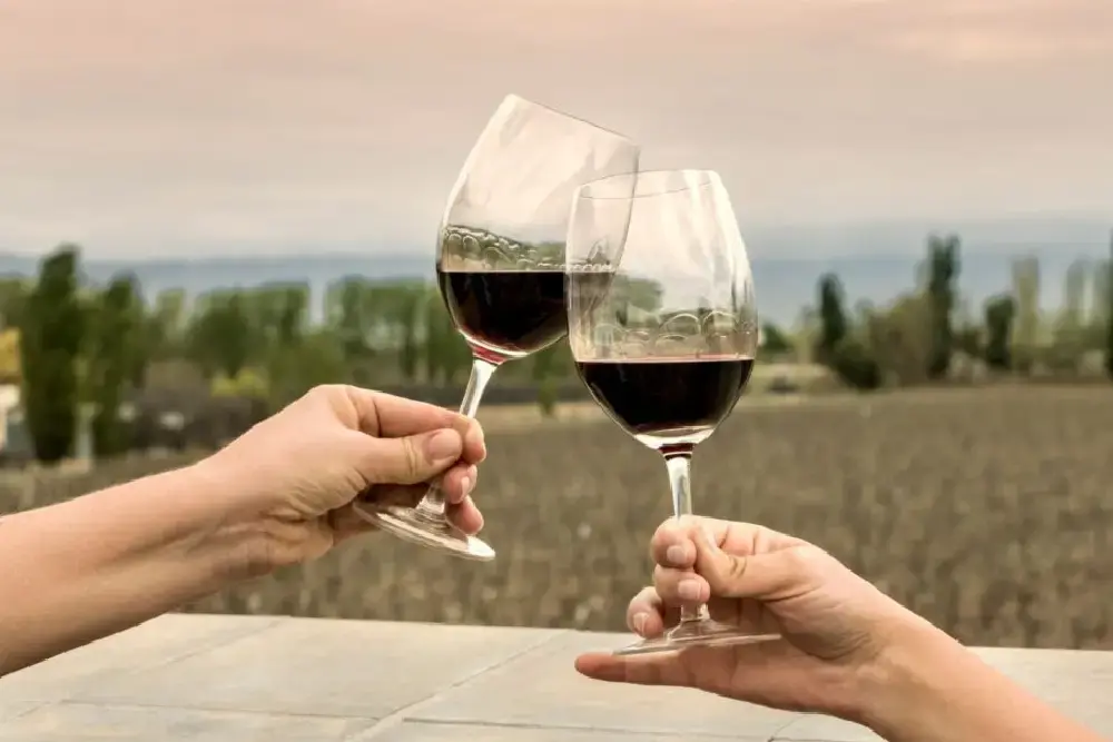 Dos manos brindan con copas de vino tinto en una terraza frente a un viñedo, con álamos al fondo