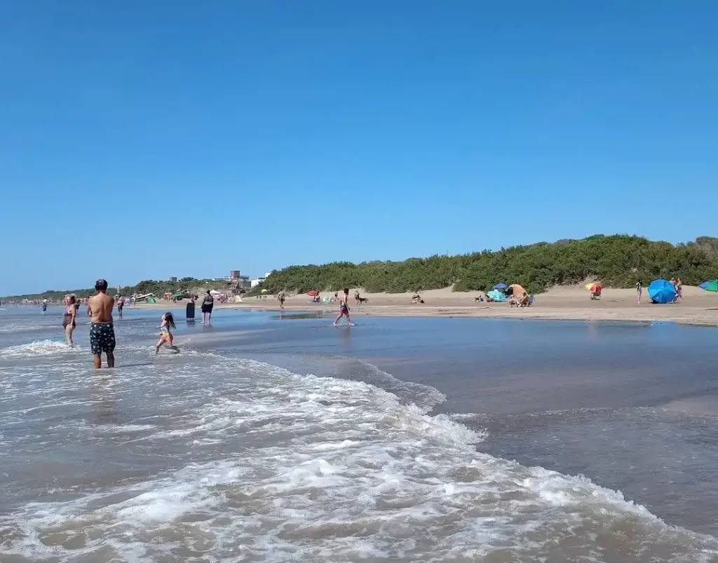 Playa ancha con gente metida en el agua, sombrillas de colores en la arena y médanos cubiertos de vegetación verde al fondo