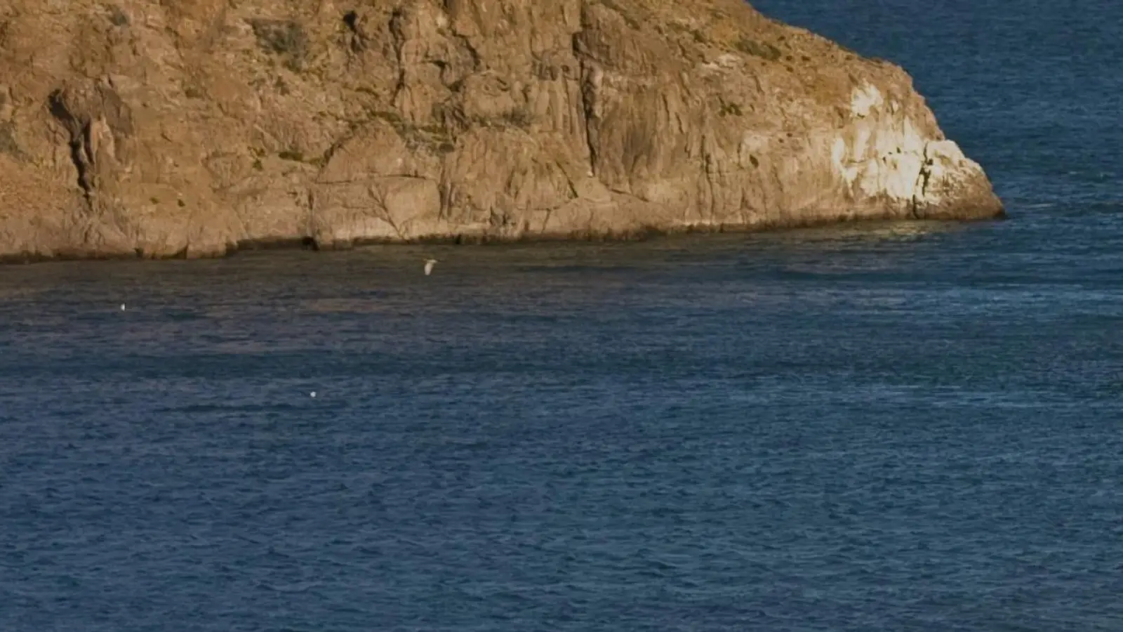 Un acantilado de roca rojiza cae sobre el agua azul profunda de la ría, con una gaviota volando cerca de la orilla