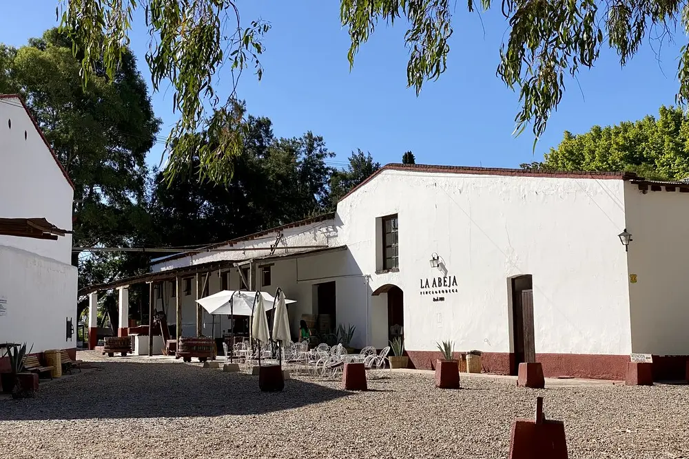 Patio de ripio frente a la casona blanca de la bodega La Abeja, con sombrillas, mesas y árboles altos