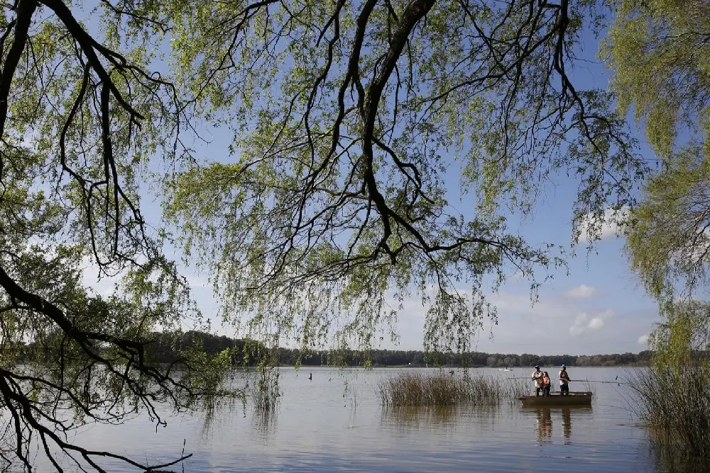 Laguna rodeada de árboles, con ramas de sauce en primer plano y un bote con pescadores entre los juncos