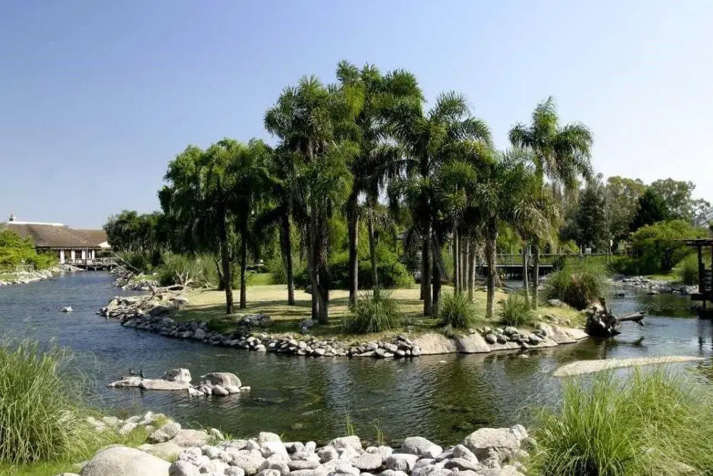 Laguna con una isla de palmeras, bordes de piedra y un puente de madera al fondo, en un parque verde