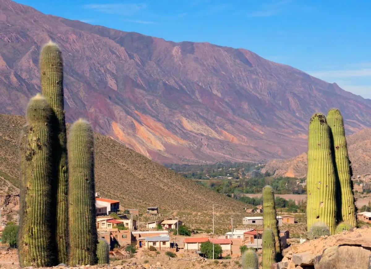 Cardones gigantes en primer plano, casas de un pueblo de la Quebrada y un cerro rojizo de fondo