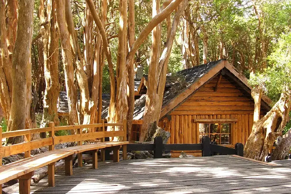 Una pasarela de madera con bancos entre troncos de arrayanes color canela, junto a una cabaña de troncos en el bosque