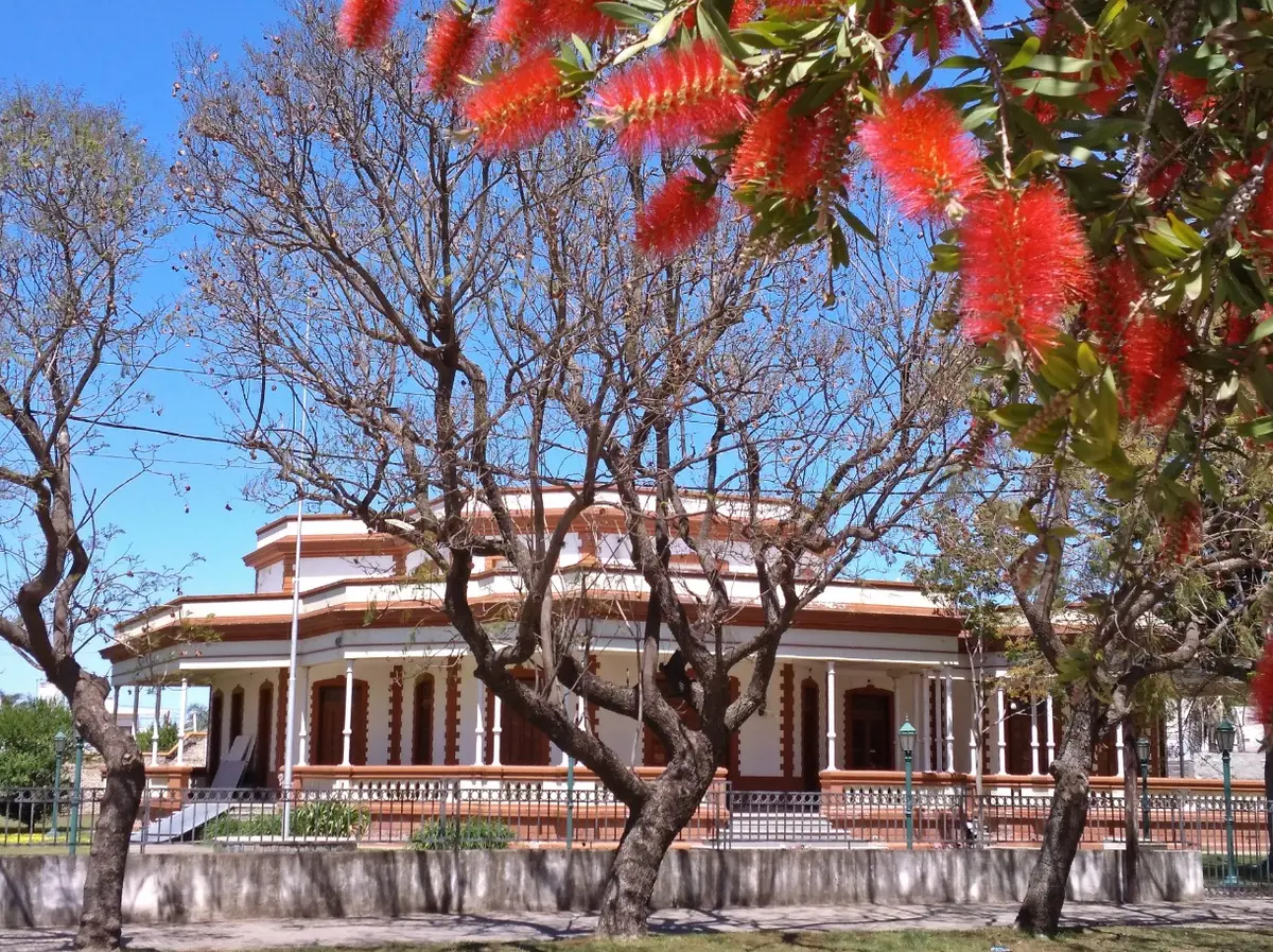 Casona de época de una planta, con galería de columnas blancas y aberturas de madera, detrás de árboles y un calistemo con flores rojas