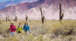 Tres mujeres haciendo trekking en el Parque Nacional Los Cardones