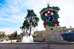 Reloj Cucú - Villa Carlos Paz