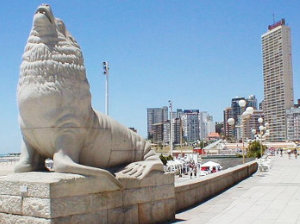 foto de la rambla mar del plata